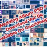 100 Attractive Karizma Wedding Album Psd 12x36 2021 For Free Download Vol. 04 gauridesign