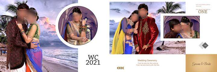 Dmax Wedding Album PSD Free Download 12x36 by Gauri Design