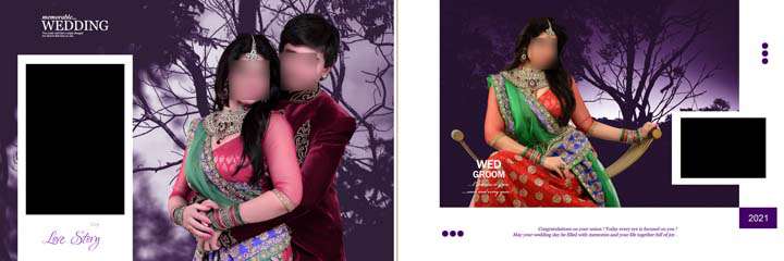 Dmax Wedding Album PSD Free Download 12x36 by Gauri Design
