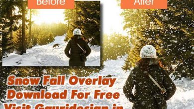 Snow Fall Overlay Download For Free by Gauri Design