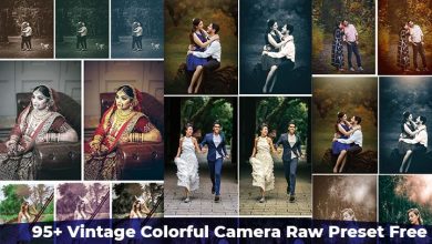 95+ Vintage Colorful Camera Raw Preset Free Download