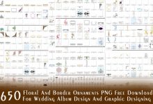 650 Floral and Border Ornament PNG Free Download