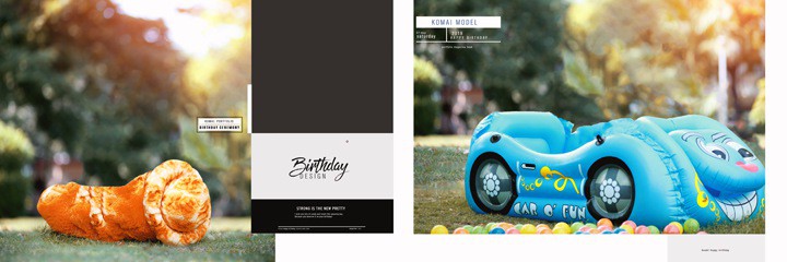 New Creative Prewedding Album PSD Background Layout 12x36 2022 04