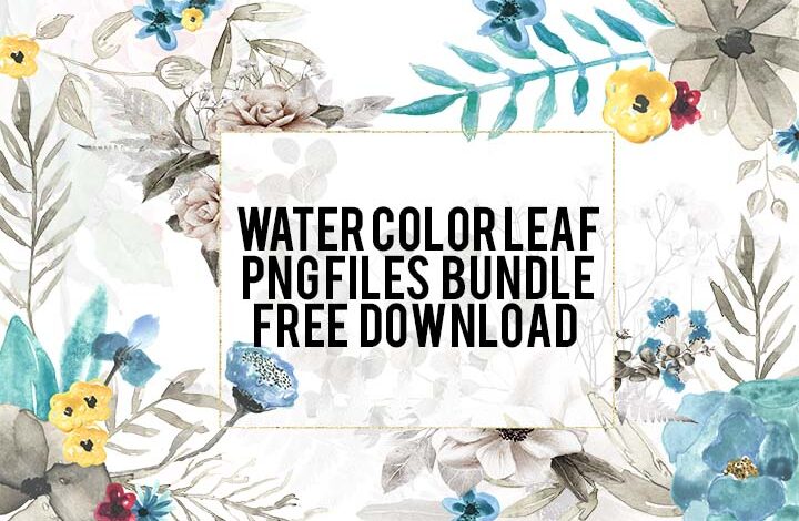 Water Color Leaf PNG Files Free Download 01