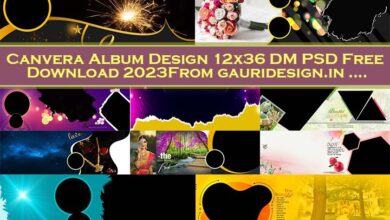 Canvera Album Design 12x36 DM PSD Free Download 2023